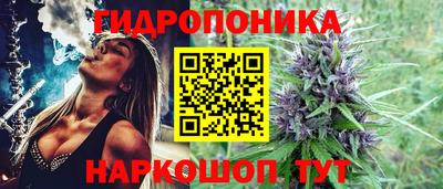 шишки Азнакаево