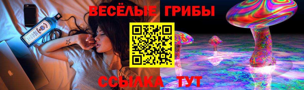 Александров  Галлюциногенные грибы Psilocybe  Вход с VPN  Галлюциногенные грибы Cubensis 